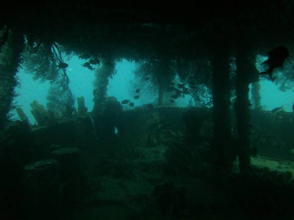 Os belos cenários do anufrágio Lesleen M, em Soufriere, sul de Santa Lúcia, no Caribe